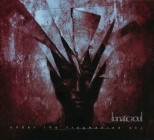 Lunatic Soul - Under the Fragmented Sky