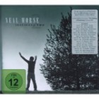 Neal Morse - Testimony 2