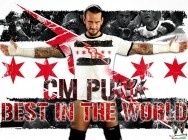 WWE - CM Punk Best in the World 2012