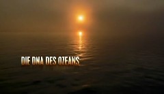 Die DNA des Ozeans