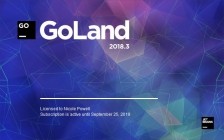 Jetbrains Goland v2018.3.6