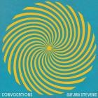 Sufjan Stevens - Convocations