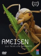 Ameisen - Die heimliche Weltmacht 