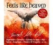 Feels Like Heaven Sounds Like Hell CD