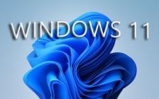 Microsoft Windows 11 Pro 21H2 Build 22000.120 (x64)