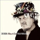 Zucchero - Black Cat