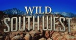 Wildes Amerika - Ungezähmter Südwesten - Das Land der Fledermäuse