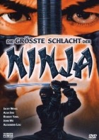 Die grösste Schlacht der Ninja