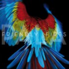 Friendly Fires - Pala