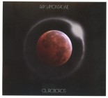 Ray Lamontagne - Ouroboros