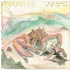 Cumulus - I Never Meant It To Be Like This
