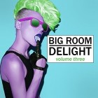 VA - Big Room Delight Vol 3