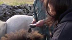 360 Grad Geo Reportage Shetland das Ende des Oels