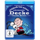 Peanuts - Glück ist eine wärmende Decke, Charlie Brown