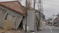 Fukushima - Tagebuch einer Katastrophe