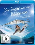 Der Junge und die Wildgänse