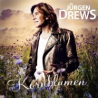 Juergen Drews - Kornblumen