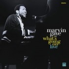 Marvin Gaye - What's Going On (Live)