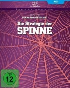 Strategie der Spinne