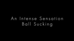 TheArtOfBlowjob 15 01 07 Educational Series An Intense Sensation Ball Sucking 1080p