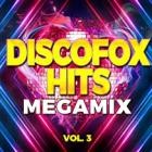 Discofox Hits Megamix Vol.3