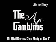 Die Gambinos - Porträt eines Mafia-Clans