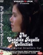 The Candida Royalle Collection 1984